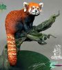 RedPanda RedPanda