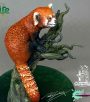 RedPanda1 RedPanda1