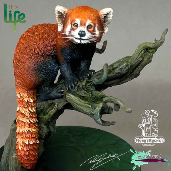 RedPanda5 RedPanda5